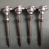 wzp赫(hè)斯曼溫度傳(chuán)感器